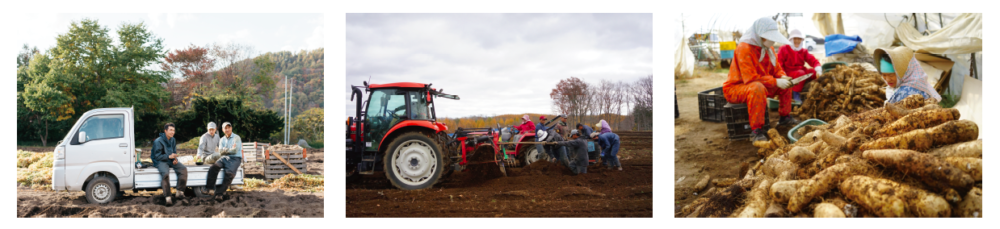 四代目中澤農園 オフィシャルサイト 北海道むかわ町 穂別 四代目中澤農園について