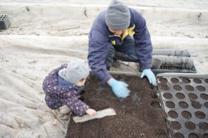 育苗ポッドに土を入れているクィンさんのお手伝い 3月上旬